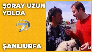 Şanlıurfa - Şoray Uzun Yolda