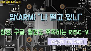 암(ARM)의 대척점에 있는 오픈소스 플랫폼 RISC-V를 짚었습니다. 암과 협업하면서도 견제에도 적극적인 삼성도 짚었습니다.