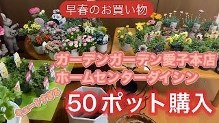 【怒涛の50ポット購入】ガーデンガーデン仙台さん、ダイシンさんでお買い物‼️早春のお花が素晴らしい💓