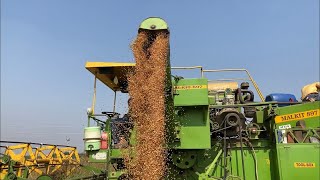 It’s harvesting time/ Toor dal harvesting at our farm ( togari raashi)