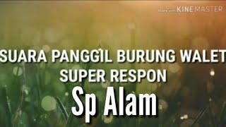 SUARA PANGGIL BURUNG WALET SUPER RESPON original