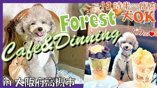 【大阪 犬と行けるカフェForest cafe\u0026dinning 】店内13時半～犬OK！オシャレすぎるカフェで愛犬トルテとフルーツパフェ🐶🍑in大阪高槻市