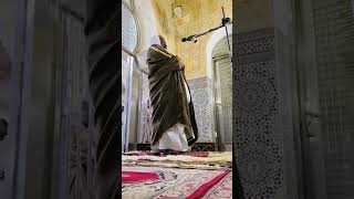 Imam cheikh tijani cisse prayer