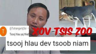 Txooj Hlau Tsoob Niam Tiag Los Ðag 8/11/2024