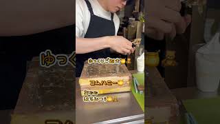 韓国でコムハニー🍯ソフトクリーム