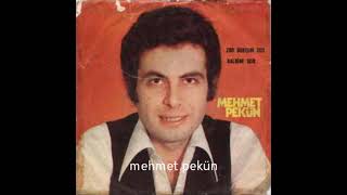 KALBİNE SOR   -  MEHMET PEKÜN