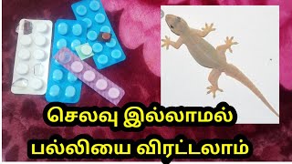 How to get rid of lizard /home made remedy /Life over tablet uses / பல்லியை எளிதாக விரட்டலாம்