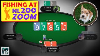 What Is Going On in the PokerStars 200NL Zoom Pool?