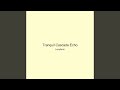 Tranquil Cascade Echo