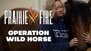 Operation Wild Horse - Prairie Fire 801