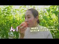 ほこたの匠『美味しいトマトの秘密！』を調査してみた件