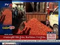 middle men cheating farmers dump tomatoes load on roads due to loss tv5 news