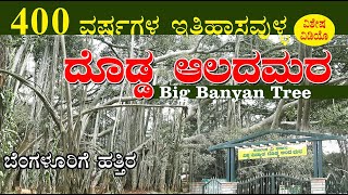 400 ವರ್ಷಗಳ ದೊಡ್ಡ ಆಲದ ಮರ |  400 Years Old Big Banyan Tree | Bengaluru Dodda Alada Mara