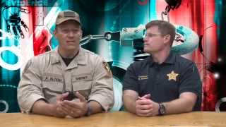 Your Daily Crime Report - First at Five (11-18-15)