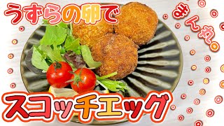 【ひき肉】うずらの卵でまん丸スコッチエッグ【揚物】♯75