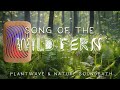 Song of the Wild Fern - PlantWave & Nature Sound Bath - Relaxation Meditation Music