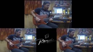 Pamoi Nylon Custom Guitar