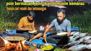 POIN BERMACAM JENIS IKAN, SPOT INI HARUS DI ULANG