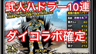 DQMSL 武人ハドラー10連+ダイコラボ確定ふくびき決戦【ドラクエスーパーライト】