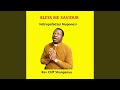Bless me my Saviour (Ndiropafadzei Muponesi Wangu)