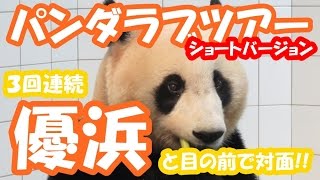 3回目のパンダラブツアー♪ 3回連続、優浜！ ショートバージョン 2016.5.26 @アドベンチャーワールド