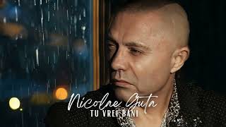 Nicolae Guta - Tu vrei bani [Videoclip]