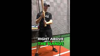 CamWood Bat Training Bat Explained #2023 #softball #baseball #usa