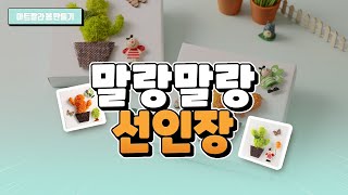 [아트랄라] 말랑말랑 선인장 만들기