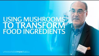 Using Mushrooms to Transform Food Ingredients | Myco Technologies