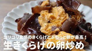 【10分でできる！】コリコリ食感とふんわり卵が最高！生きくらげの卵炒めの作り方