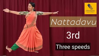 Bharathanatyam adavus - Nattadavu 3 #samarpanainstitudeofdance #SID #nrittaseries