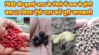 भिंडी की बुवाई आप के जिले में कब से होगी|bhindi ki buvayi|ladyfinger farming|bhindi ki kheti कब करे.