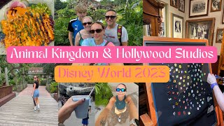 Disney Vlog | Animal Kingdom & Hollywood Studios | Day 13 | WDW