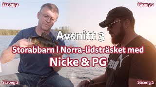 Inlandsfiske | Säsong 2 | Storabbarn i Norra lidsträsket | Avsnitt 3