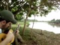 vide vida marvada no pantanal com a chuva caindo.