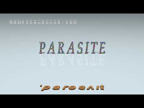 What is parasite sentence?