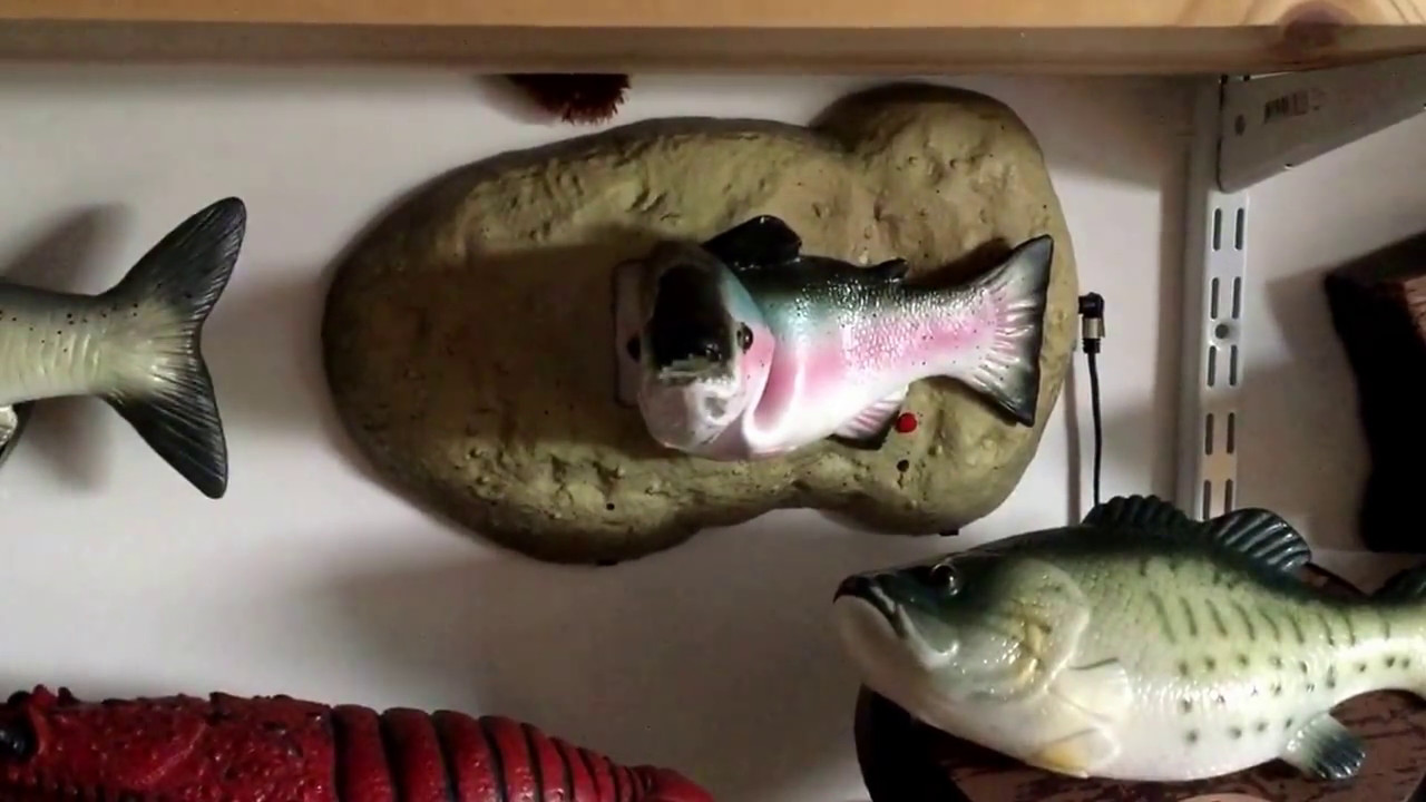 My Singing Fish Collection 2017 Youtube