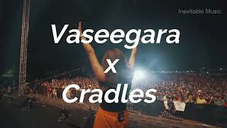Vaseegara x Cradles | Zara Zara | Jonita Gandhi | IIT Bombay | Lyrical | English Translation