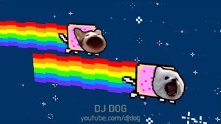 냥캣 VS 멍독 ( Nyan Cat VS Bork Dog )