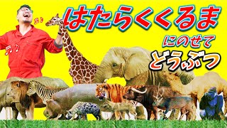 動物の歌①！「はたらくくるま」にのせて【強い！かっこいい！動物】Ver.