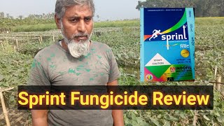 Sprint Fungicide Review ll powdery mildew