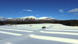 【空撮】山形を空から見てみよう！ 山さん、鳥海山を見に行く