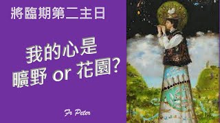 Fr. Peter 將臨期第二主日彌撒講道 紐約显圣容堂【路加福音 三1-6】