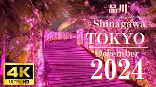 [4K] [Tokyo] Oasis in the city! Enjoy a stylish night at Shinagawa Illuminations #Christmas Lights