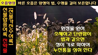 [선불가진수어록] 선불합종 어록, 진약물  ㅣ마음공부, 호흡, 명상, 단전호흡, 건강, 성품, 알아차림ㅣ