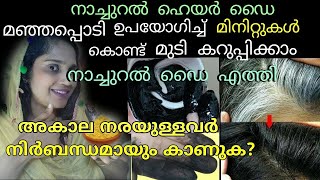 😱മഞ്ഞപ്പൊടി ഉപയോഗിച്ചു കൊണ്ട് 1 മിനിറ്റിൽ മുടി കറുപ്പിക്കാം|natural hair dye Malayalam #hairdye