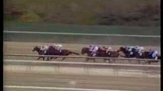 Upon My Soul - 1991 Discovery Handicap