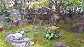 2016 京都　法輪寺　(達磨寺)　Kyoto Horin-ji Temple (Daruma-dera)