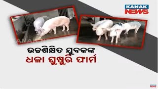 Bazaar Halchaal: Creating Jobs Locally: Success With White Pig Farming In Balasore