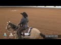 2021 aqha amateur ranch riding